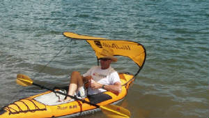 windpaddlesunshade.jpg